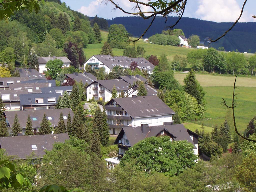 Wietheger'S Ferienwohnungen Gaestehaus Strycktal II Willingen  Dış mekan fotoğraf