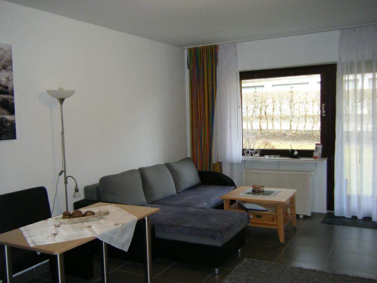 Wietheger'S Ferienwohnungen Gaestehaus Strycktal II Willingen  Dış mekan fotoğraf